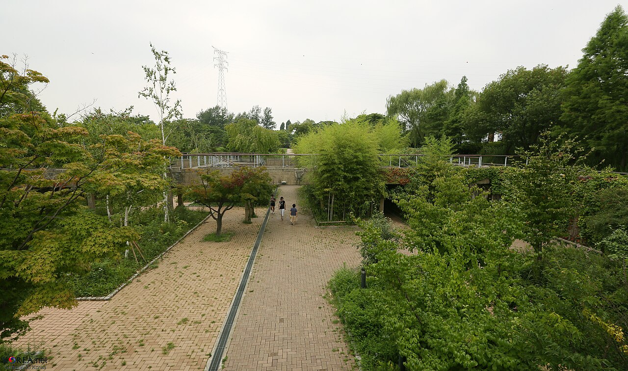 여름 선유도